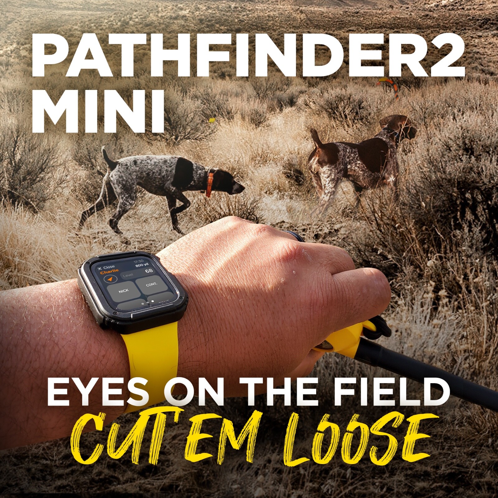 Dogtra PATHFINDER2 Mini Dog Collar Receiver Tracking and Training E-Fence GPS