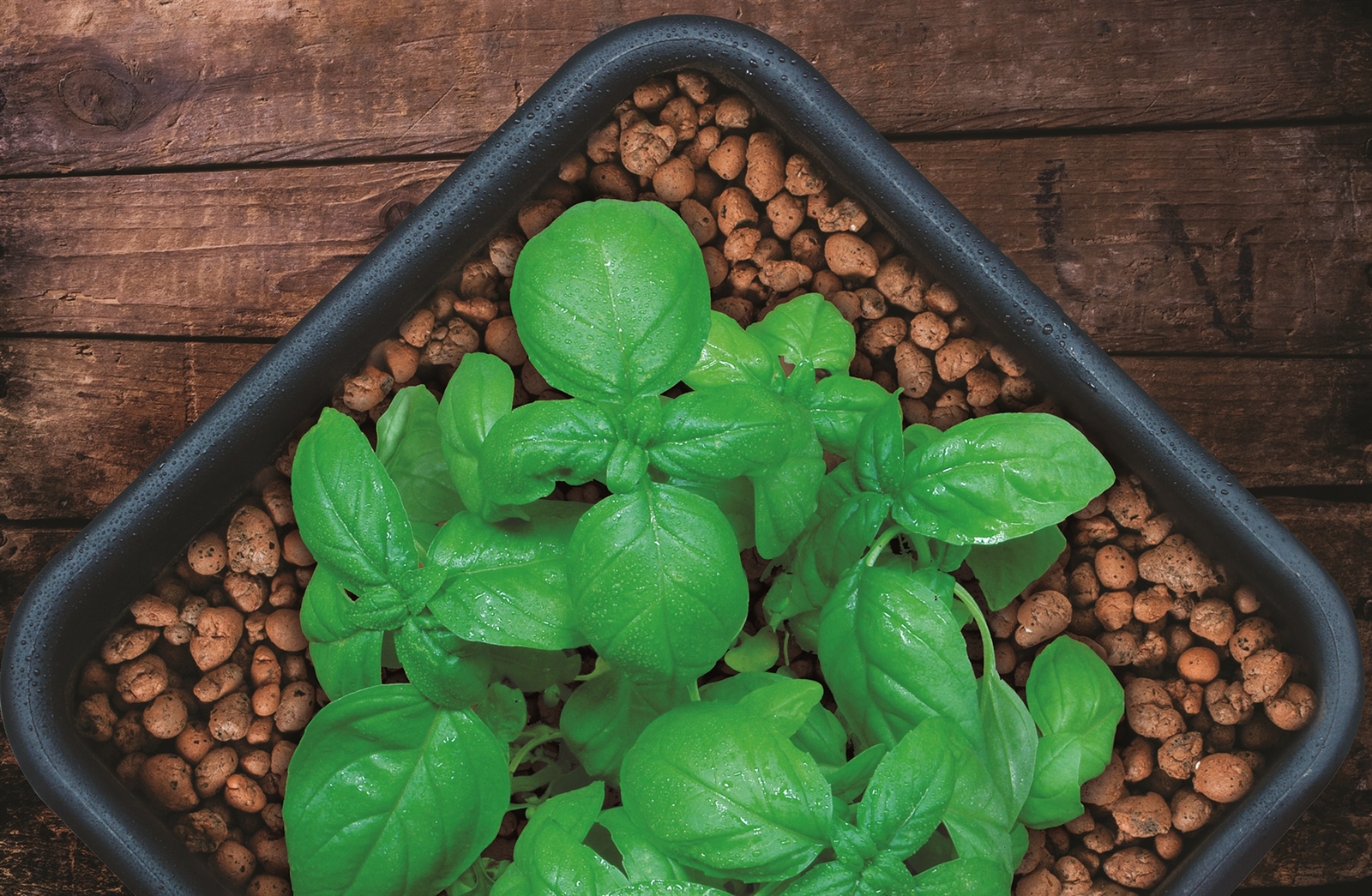 Hydrofarm GROW!T (#GMC40L) Clay Pebbles (4mm-16mm) 14 Liter Bag