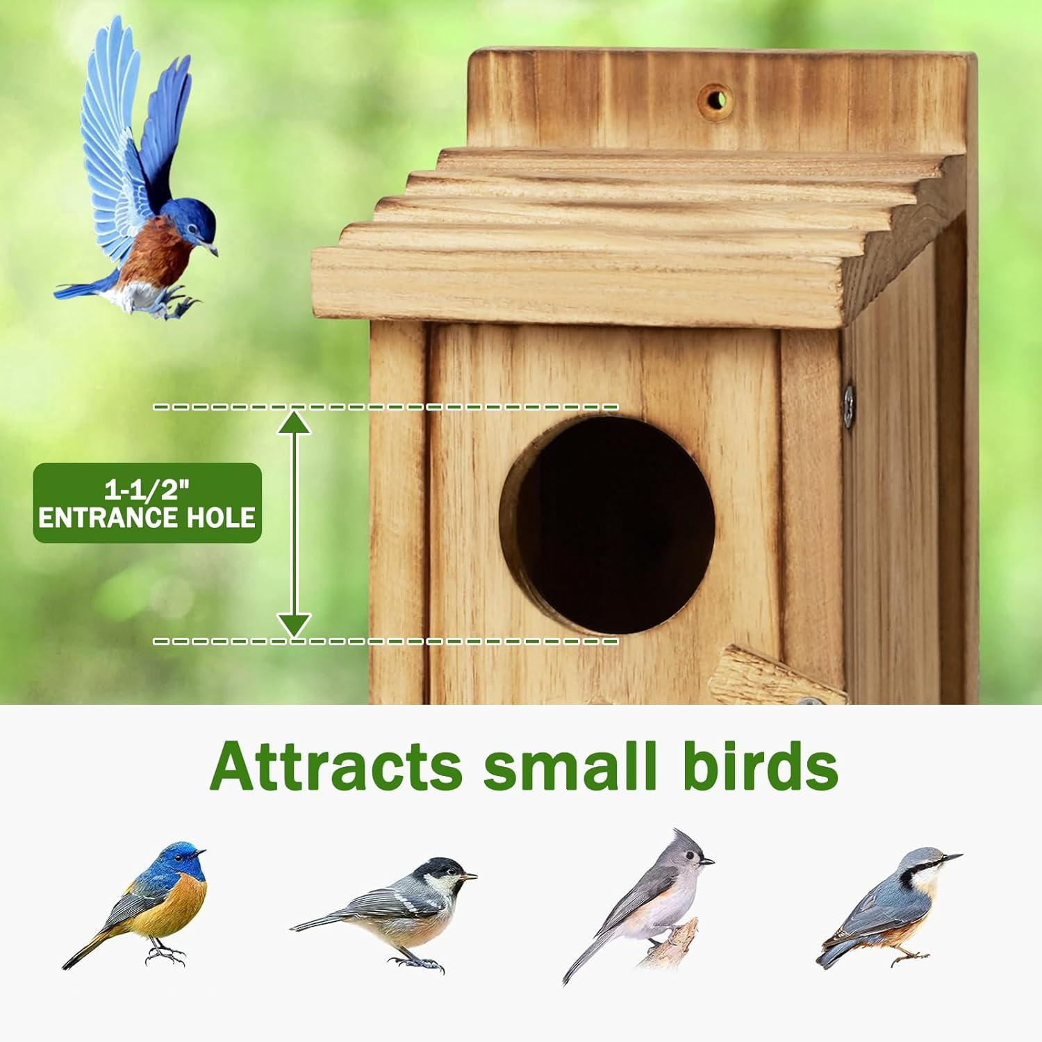 Small Bird House for Hummingbirds,Bird Houses for Outside,Humming Bird Houses fo