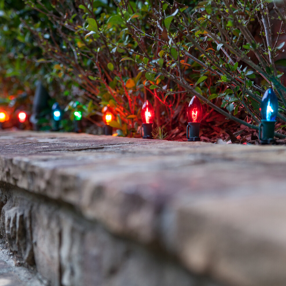 10'-100' Green Christmas Light Socket Stringer, 12" Spacing, C7/E12, 8A, SPT1