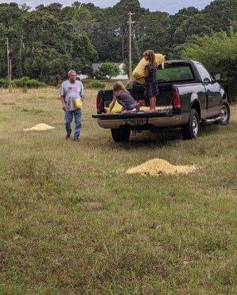 📬 Mystery Letter from a Farmer – Handwritten, Fun, Silly, and One-of-a-Kind Far