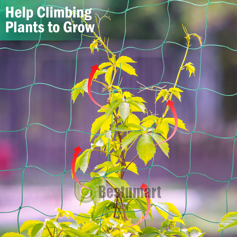 Garden Plant Climbing Net Trellis Netting Mesh Support Fruits Vine Veggie Bean
