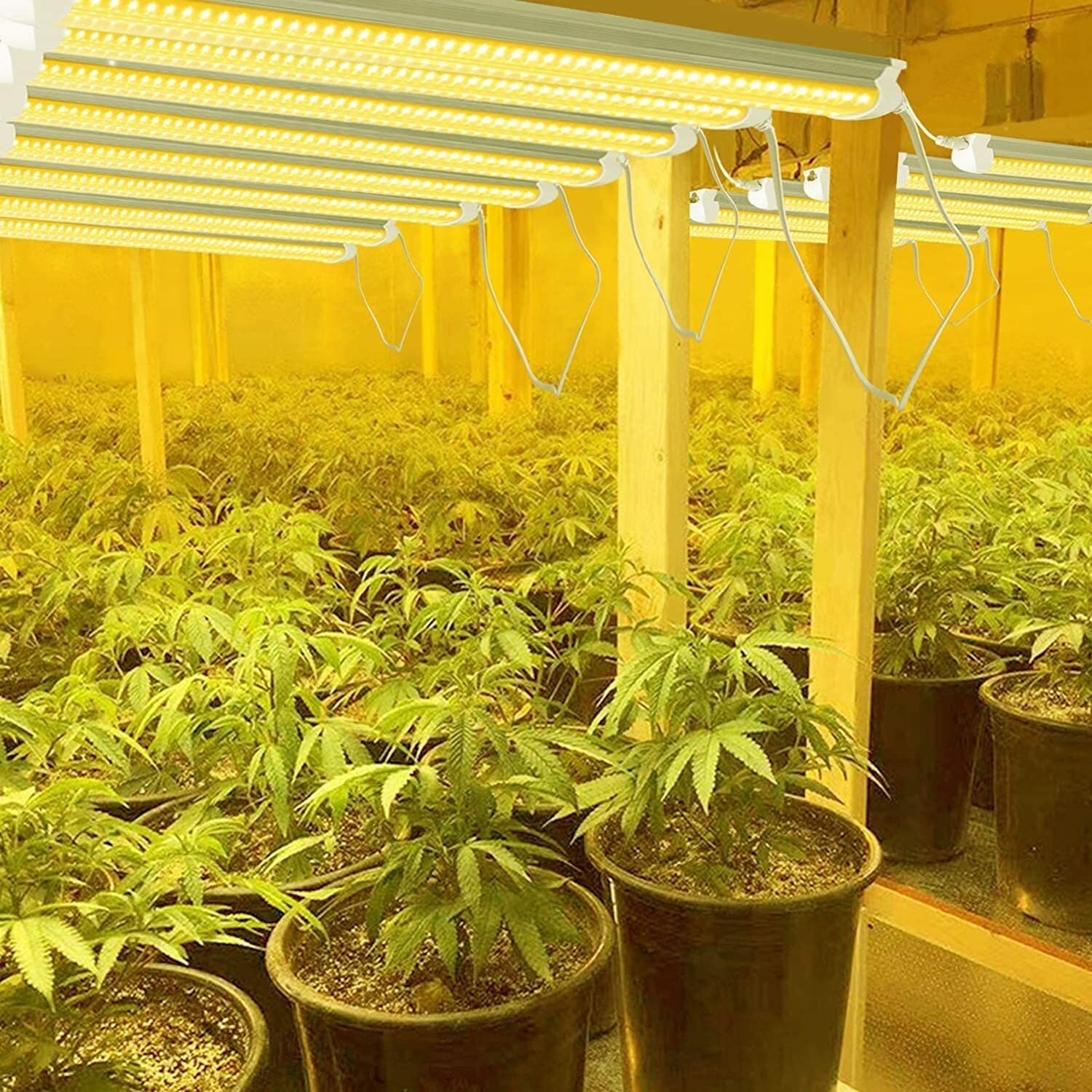 4 Pack T8 LED Grow Light 4FT LED Tube Light Full Spectrum 160W(4 × 40W) 48inches