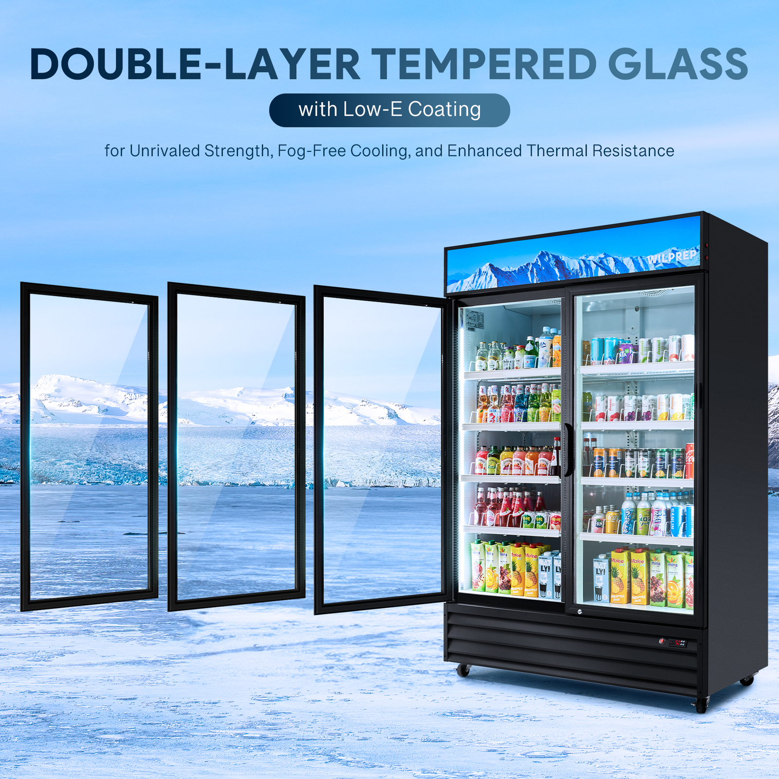 53" ETL Commercial Merchandiser 2 Glass Door Cooler Display Refrigerator 40 CF
