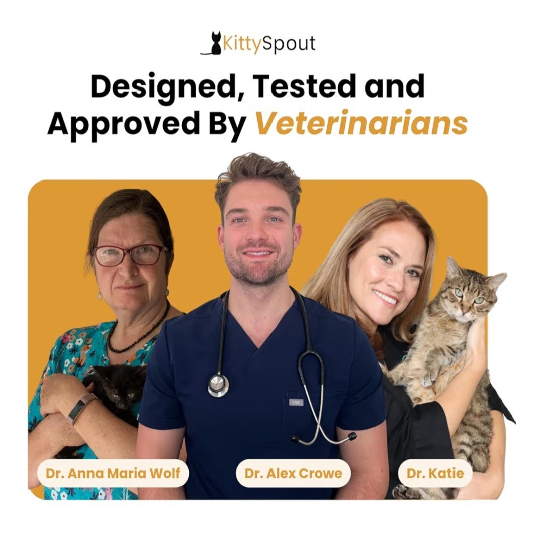 KittySpout Cat 4L 108 Oz Large Water Fountain Stainless