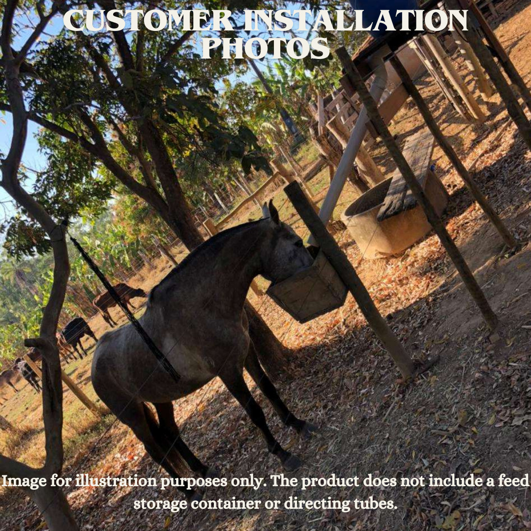 Automatic Feeder for Horse, Foal, Colt, and Filly - Food Dispenser with Timer