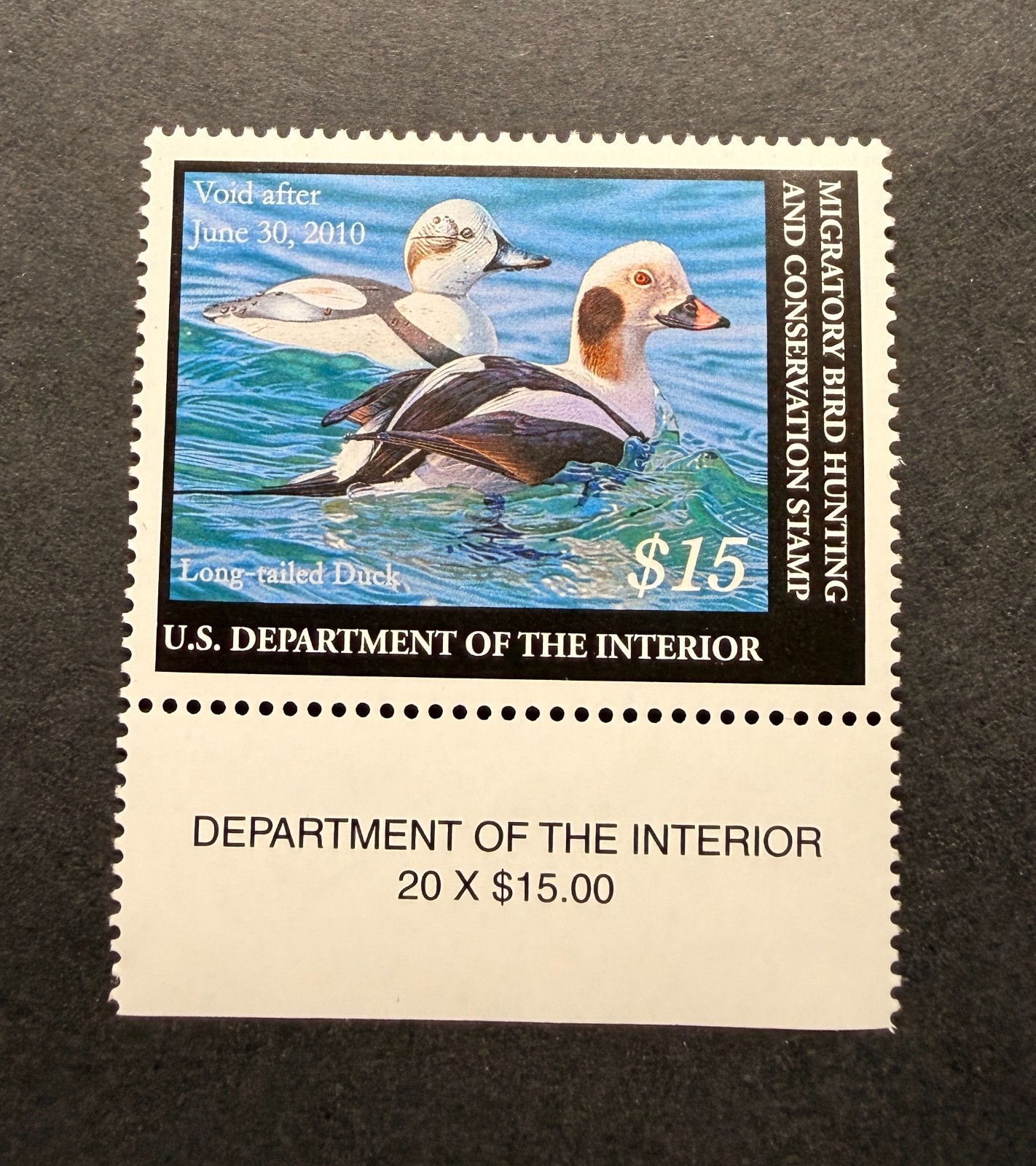 WTDstamps - #RW76 2009 - US Federal Duck Stamp - Mint OG NH