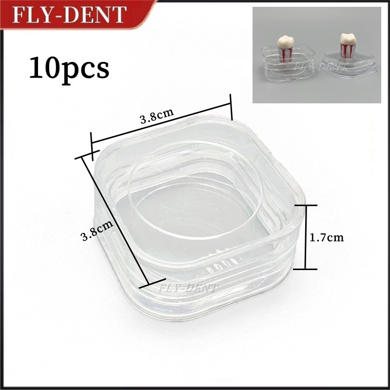10pcs Dental Denture Hinged Display Box Film Membrane Storage Case 38*38*17mm