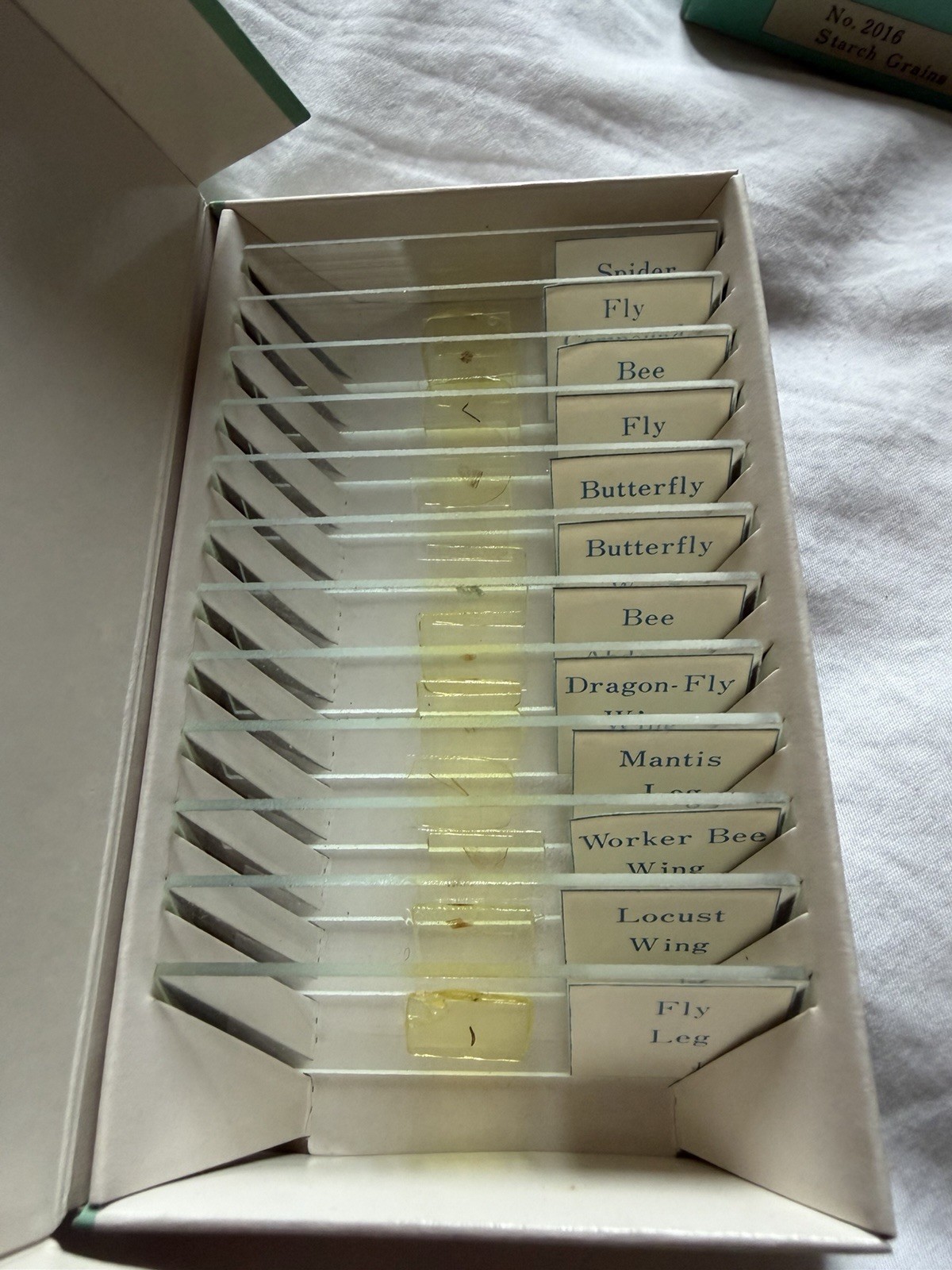 8 Vintage Microscope Slide Boxes. Prepared slides