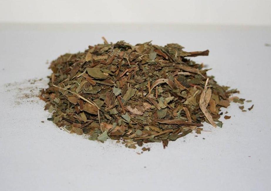 DEER TONGUE LEAF  Native American Botanical Healing Herb 1 Ounce Pack