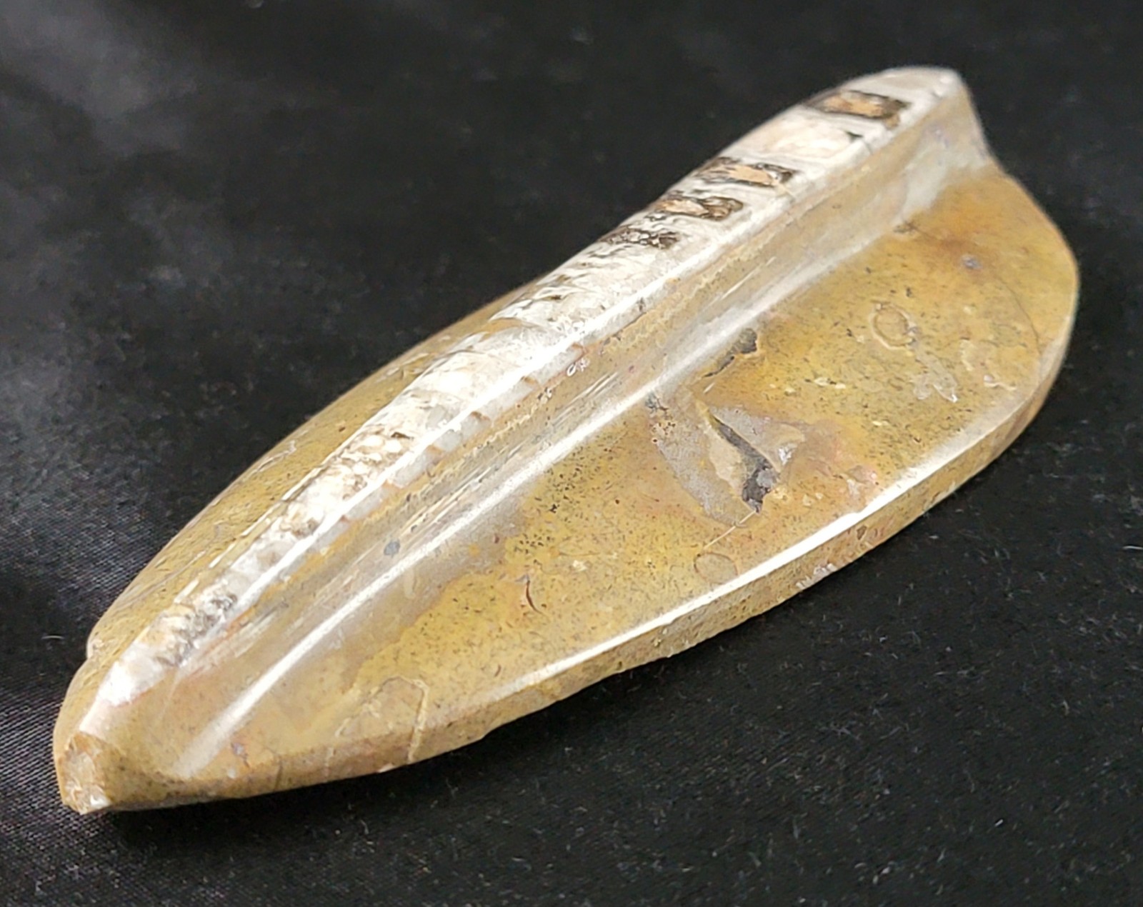 Vintage Ancient Orthoceras Squid Shell Fossil Morocco Approx 3.5" & 4.5" Lot of