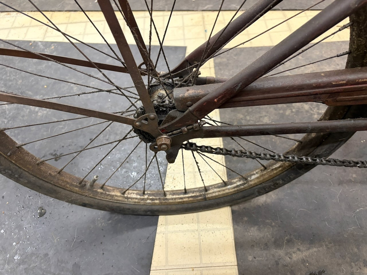 Rollfast RARE! Prewar Mens Bicycle Hanging Tank & Mouse Taillight Zep?