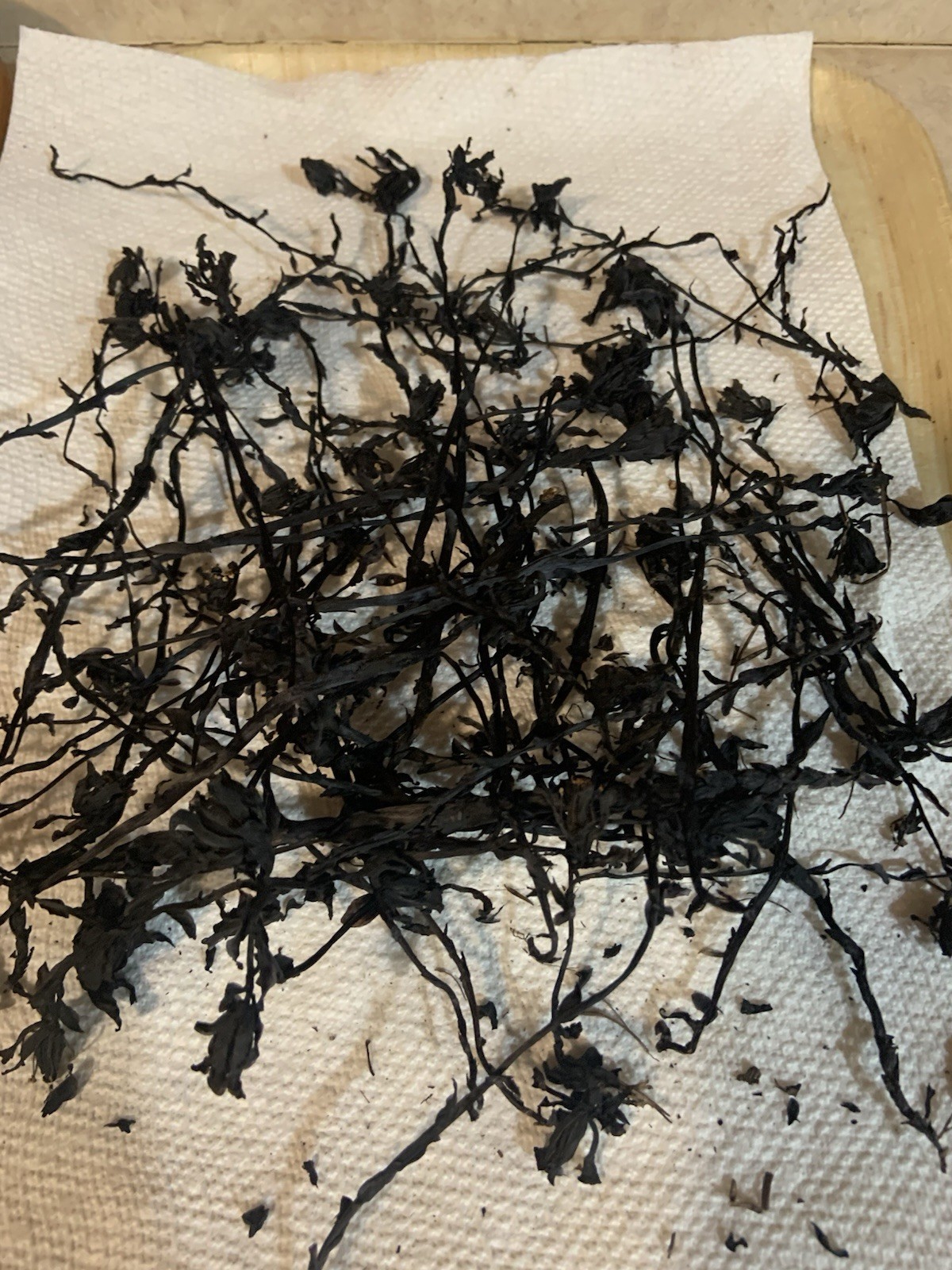 Dried Ghost Pipe Indian Pipe Whole Flowers Box of 12