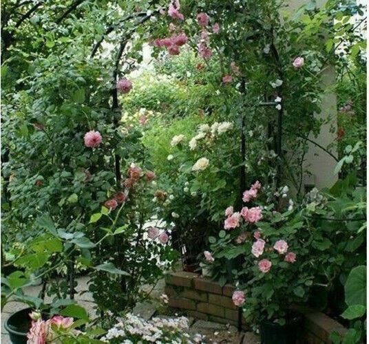 7.9FT Outdoor Yard Lawn Garden Metal Arch Arbour Plant Support Wedding Decor