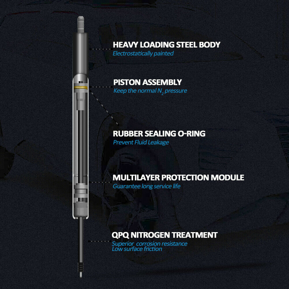 2 Rear Trunk Tailgate Lift Support Shock Struts For Lexus RX350 RX450H 2010-2015