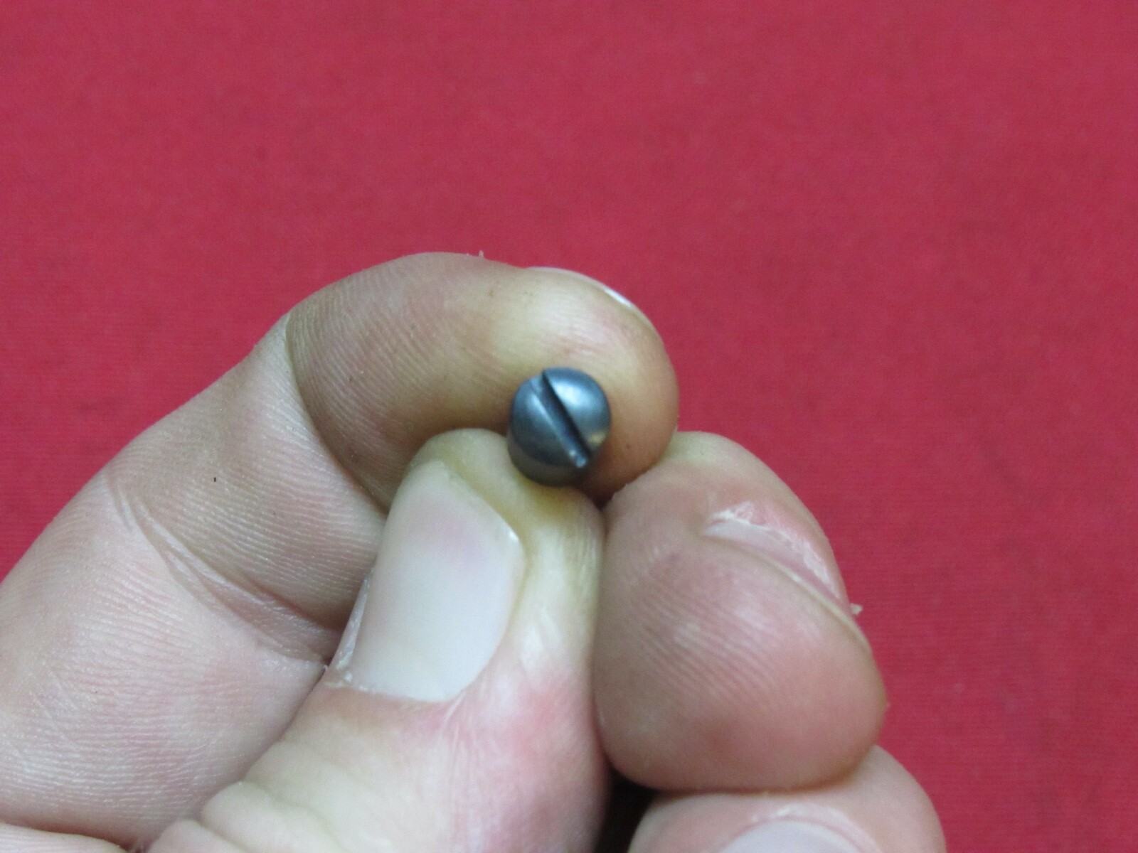 Ruger Single Six & Blackhawk Ejector Housing Screw - P/N XR-33