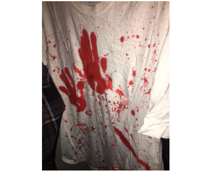 Fake Blood 16 Oz Stage Horror Makeup Vampire Arterial Halloween Party Prank Prop