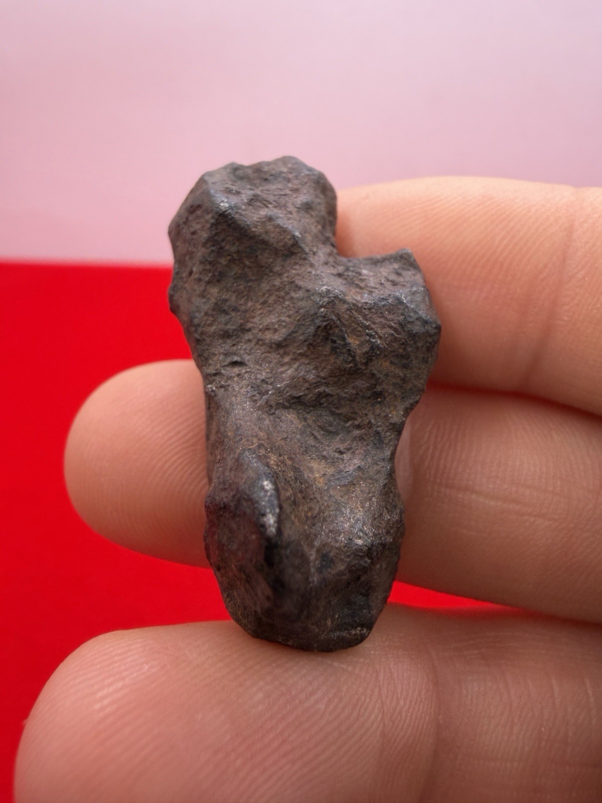 Mundrabilla Iron meteorite, Australia,Iron Meteorite, Astronomy Gift, 28.96g