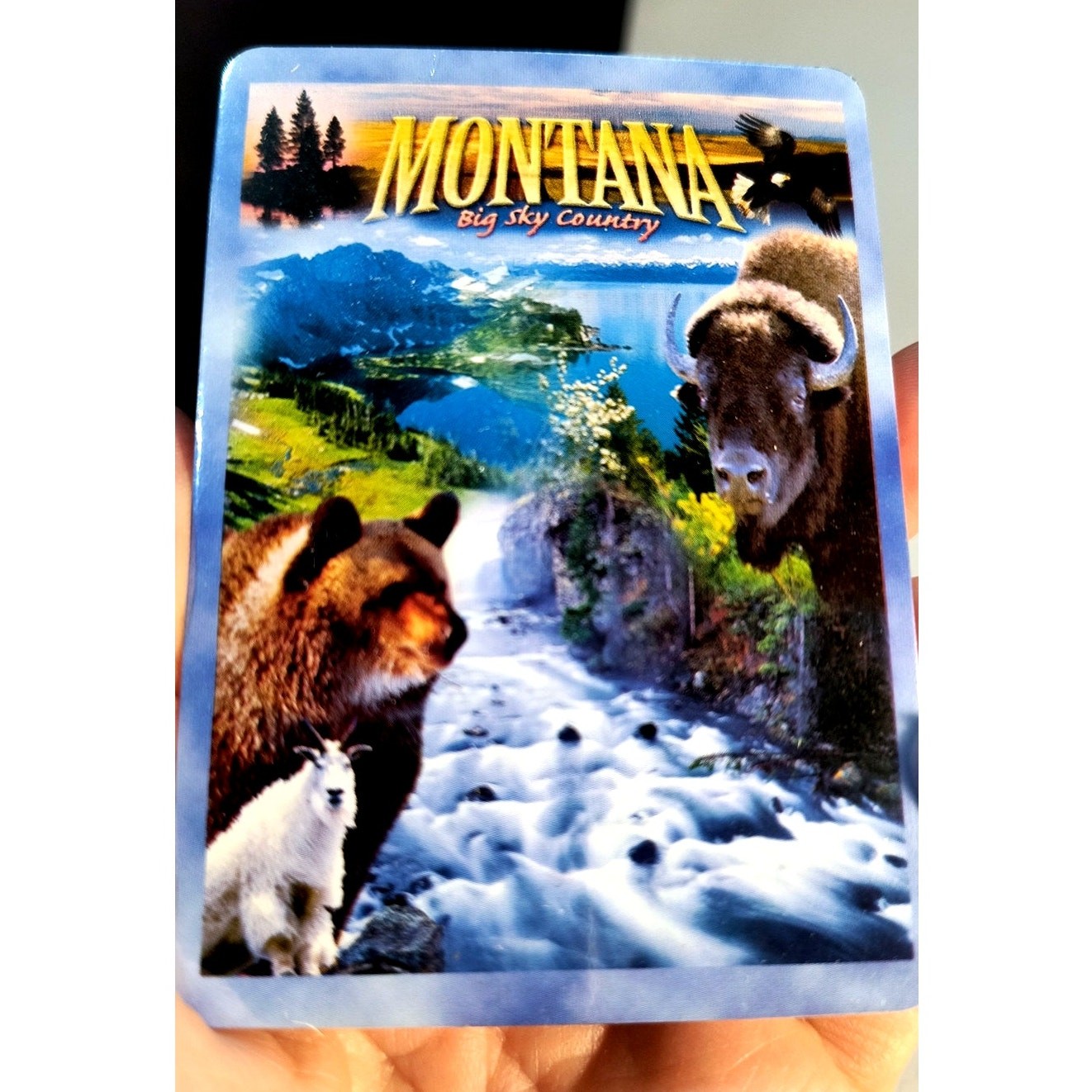 142. New Deck Montana Playing Cards