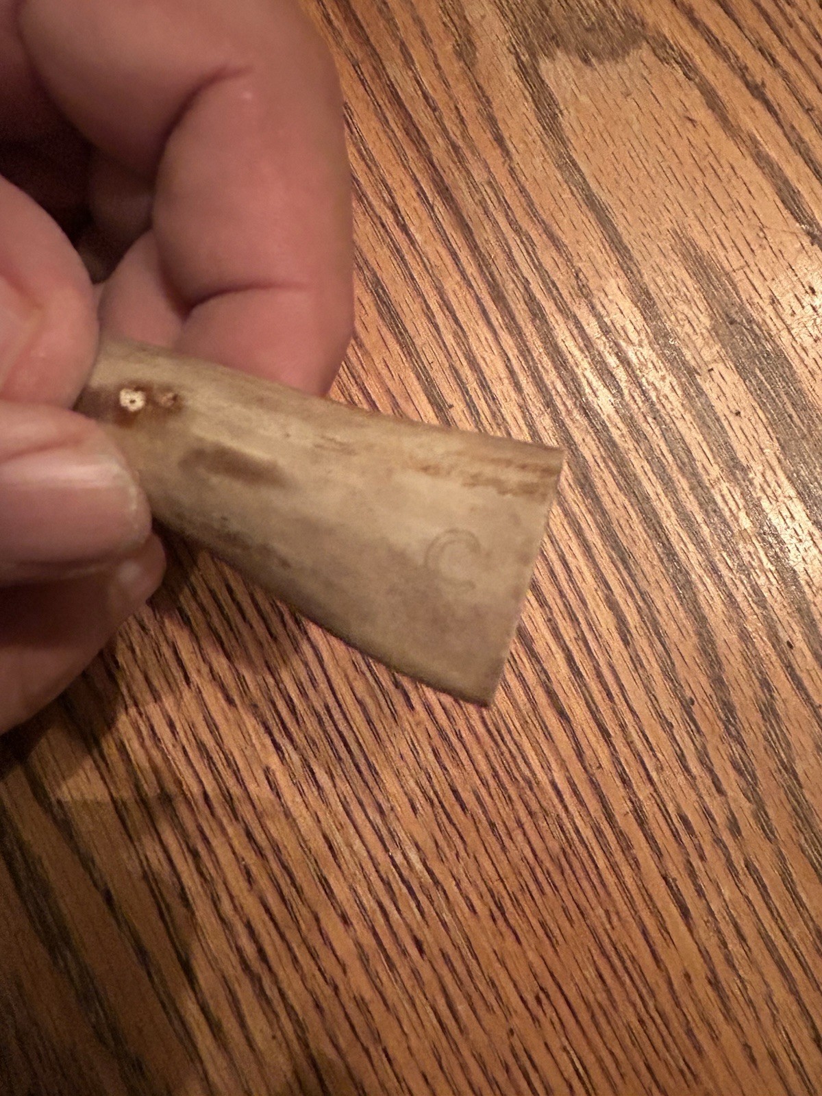 rare Inuit Pendant Signed “C” Unusual Carving 6” Alaska Art