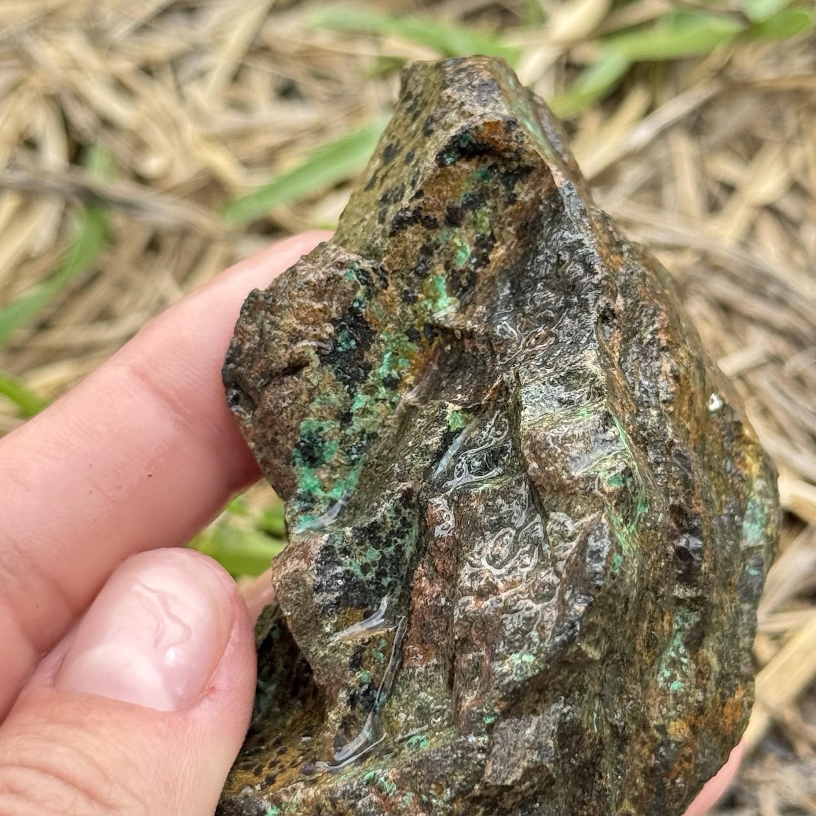9oz Chalcopyrite w/ Green Chrysocolla Copper Ore Rough Rock Specimen Texas
