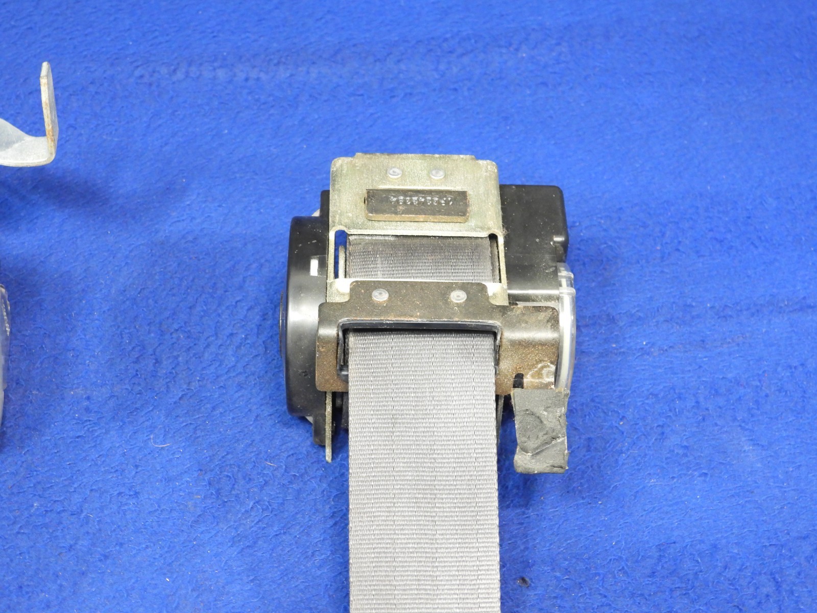 01 2001 Ford Mustang DK Charcoal Coupe Seatbelt Seatbelts OEM B64