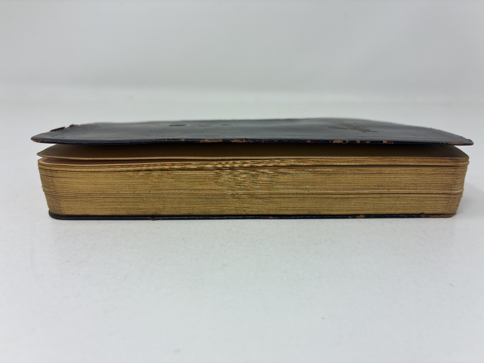 1900 Victorian Woman Wife & Mother Handwritten Diary with Her Life Memorial!