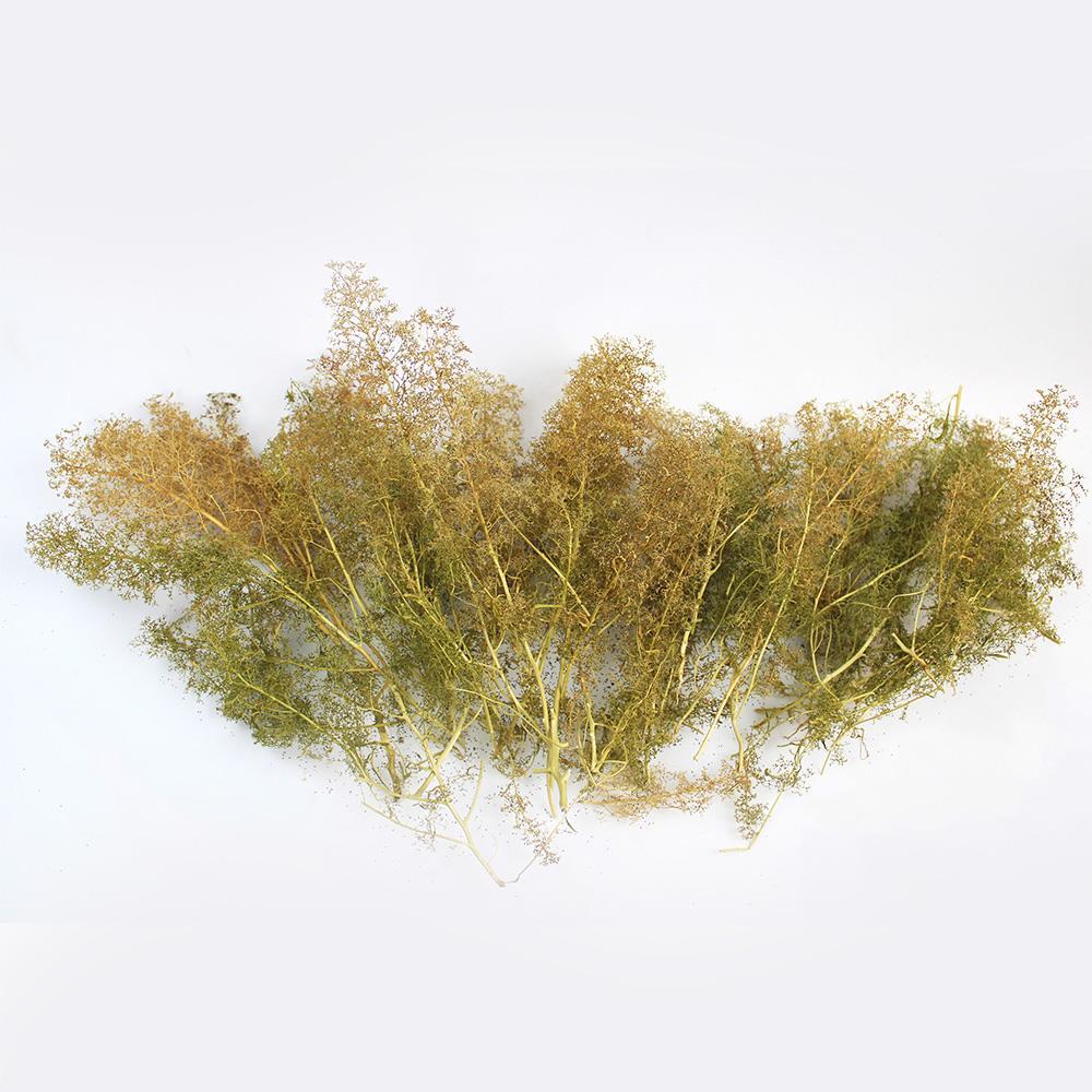 Seafoam Trees Box Mixed Size | Model Scenery