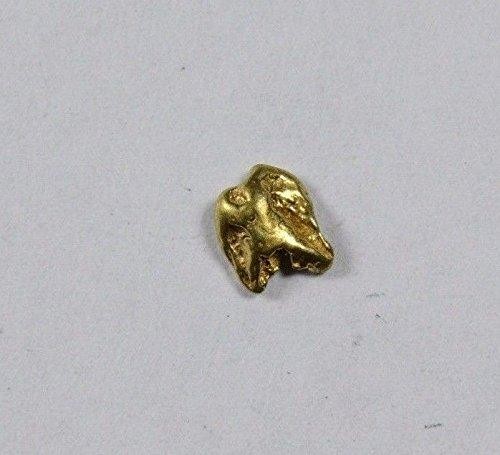 Alaskan-Yukon BC Gold Rush Natural Gold Nugget 0.25 Grams Genuine