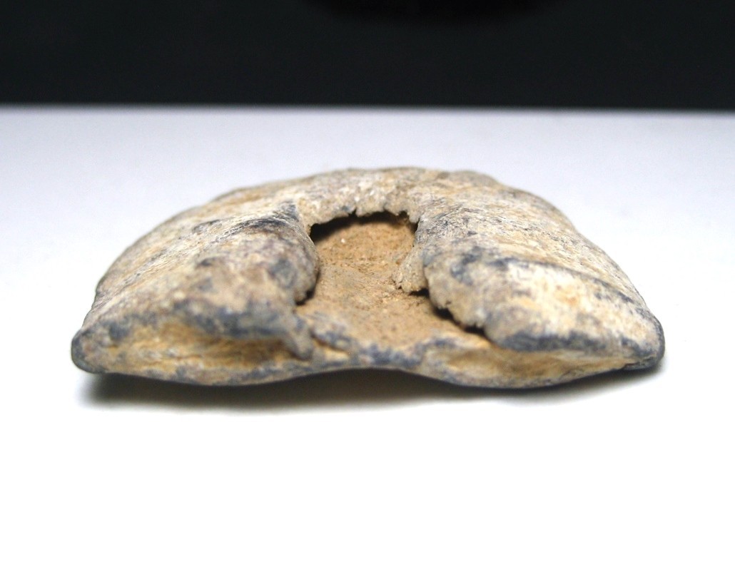 Antietam Civil War Relic Dug at Miller's Cornfield Odd Fired Hammered Bullet