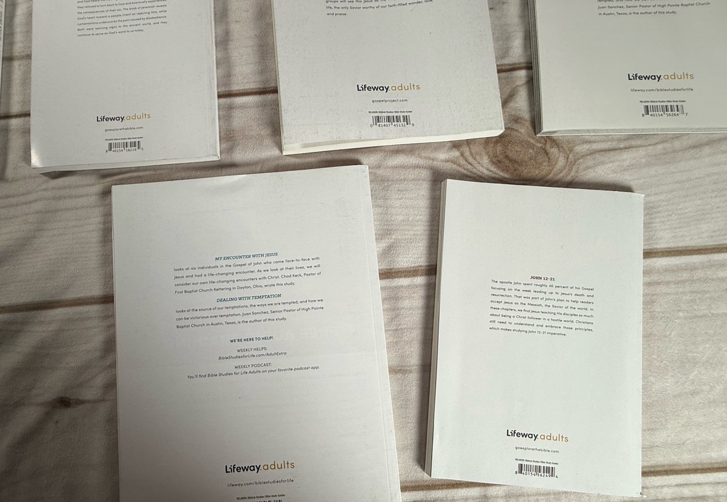 LOT OF Explore & Bible Studies For Life LifeWay Adults Leader/Personal Mixed