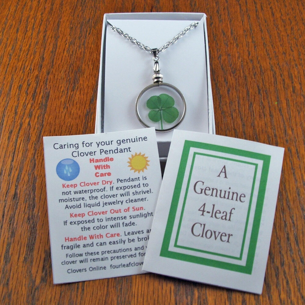 Good Luck Charm Silver Necklace with a Real Four Leaf Clover Item SN-4J