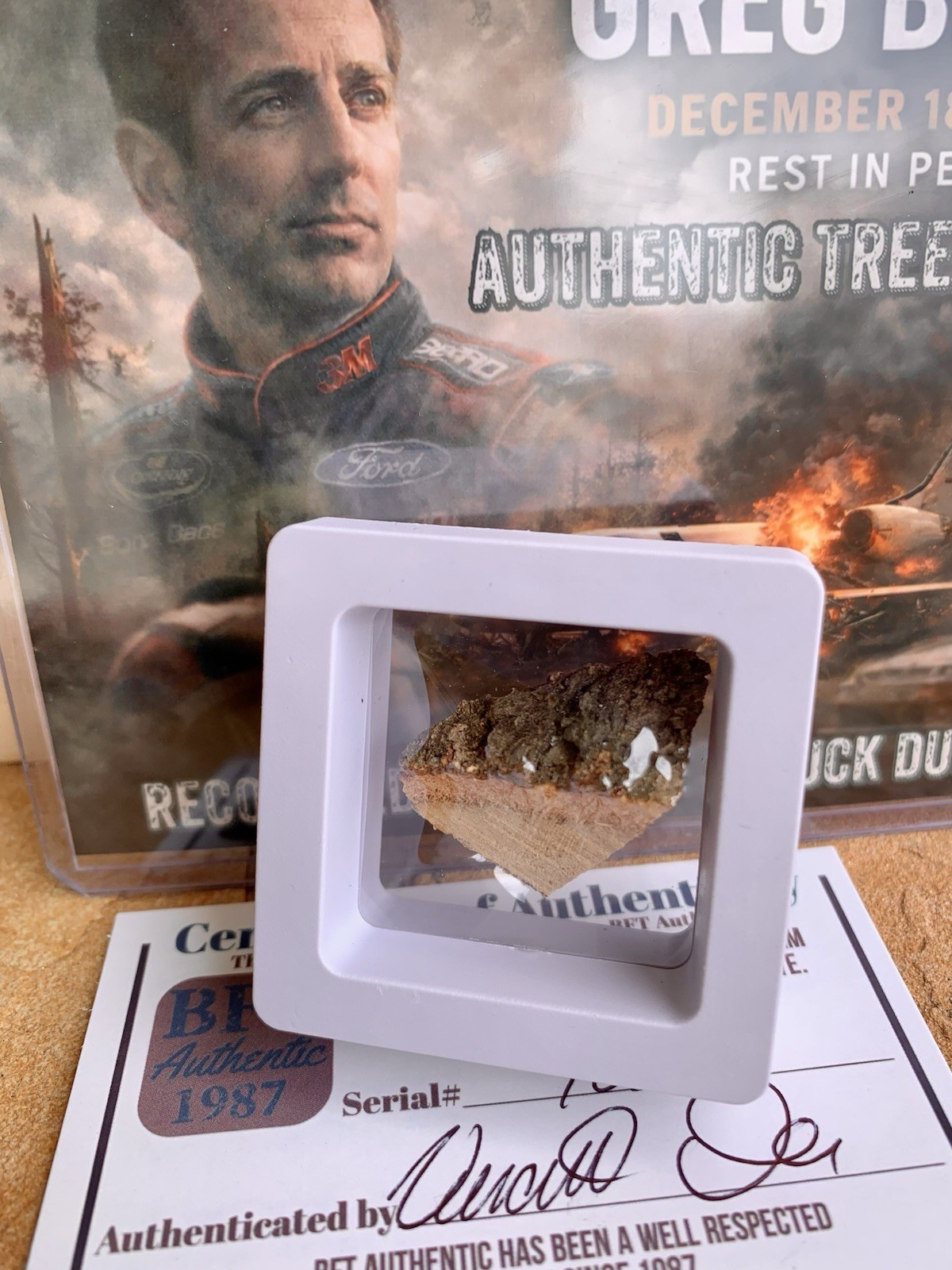 Recovered Impact Tree Fragment — December 2025 Plane Crash (Greg Biffle)