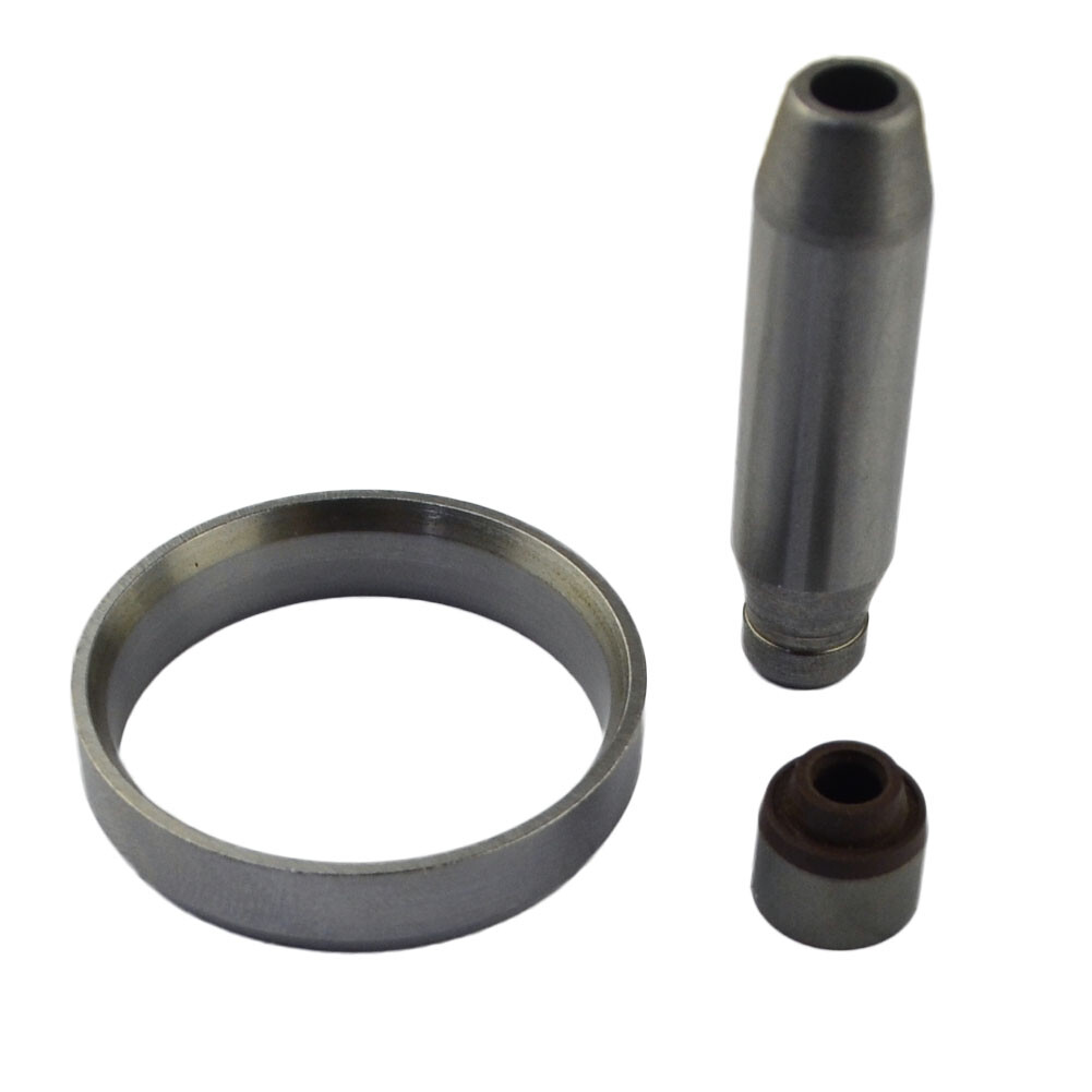 2*Intake 2*Exhaust Valves & Stem Guide Seal Kit For KAWASAKI KXF250 KX250F 04-16