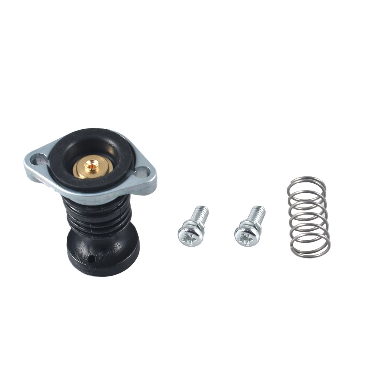 Carburetor Primer Pump Set Carb For 1988-2000 Honda TRX 300 Fourtrax ATVs