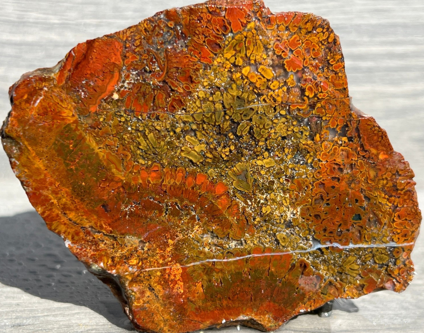 East Java Plume Agate - Indonesia 3.75"x3" High Grade Lapidary Rough Slab