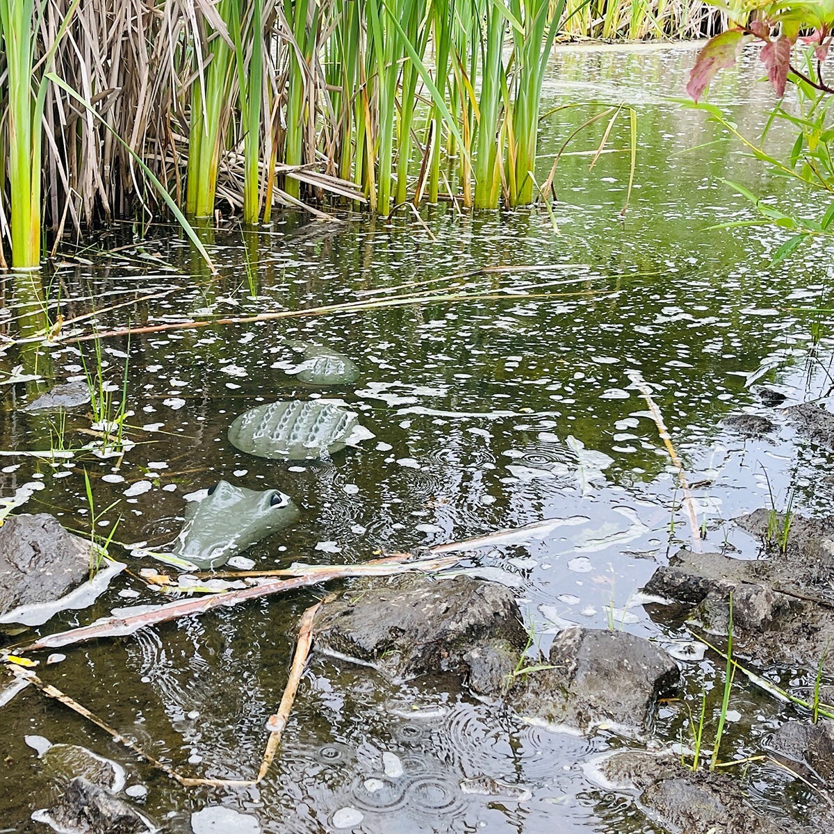 AUTUMN 3 Pieces Crocodile Alligator Garden Decor Mold, CrocConcrete Cement Mold