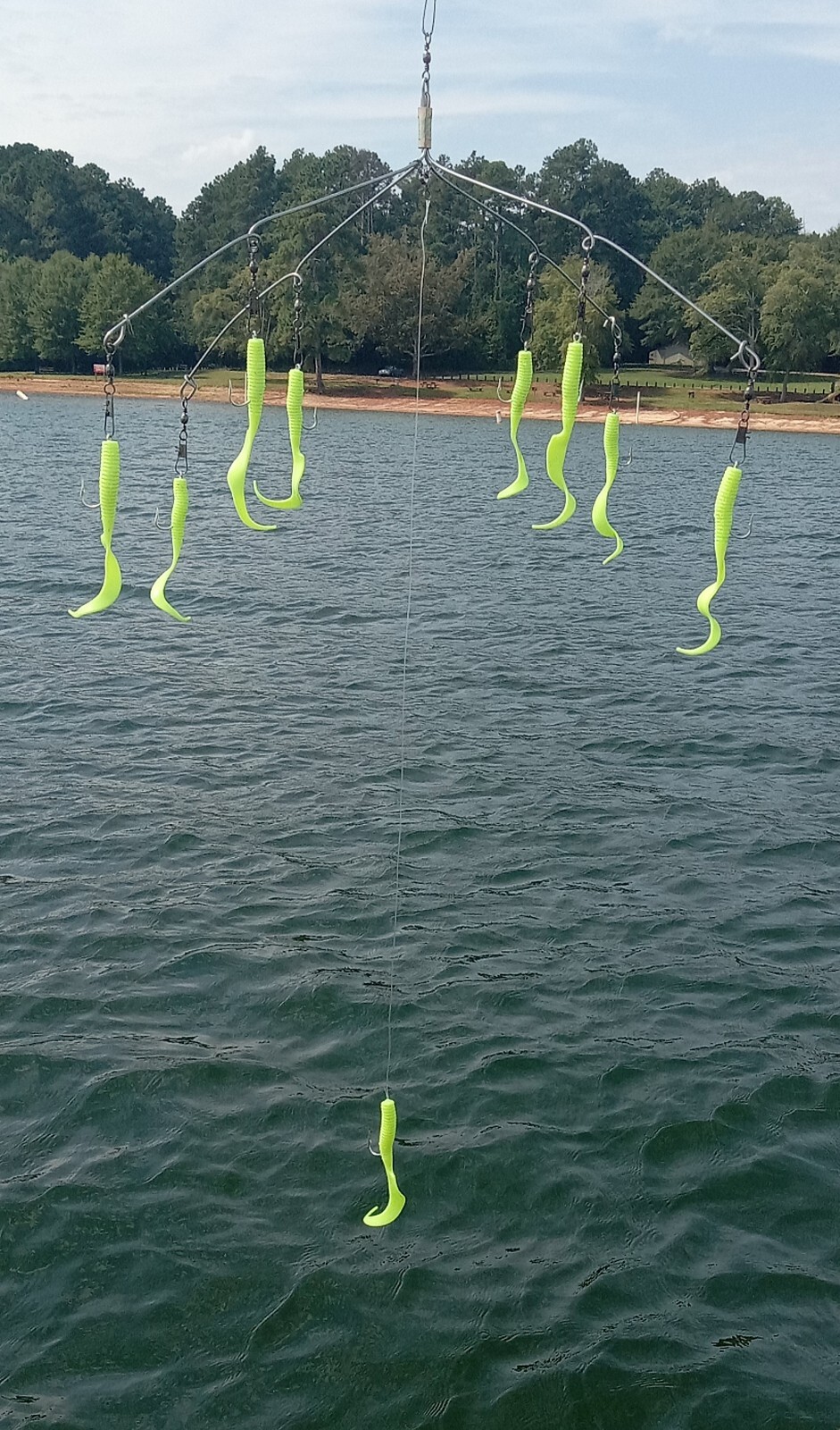 Striper Umbrella Rigs. Ocean and inlet.  Yellow Swimming eels.  Rock Fish.