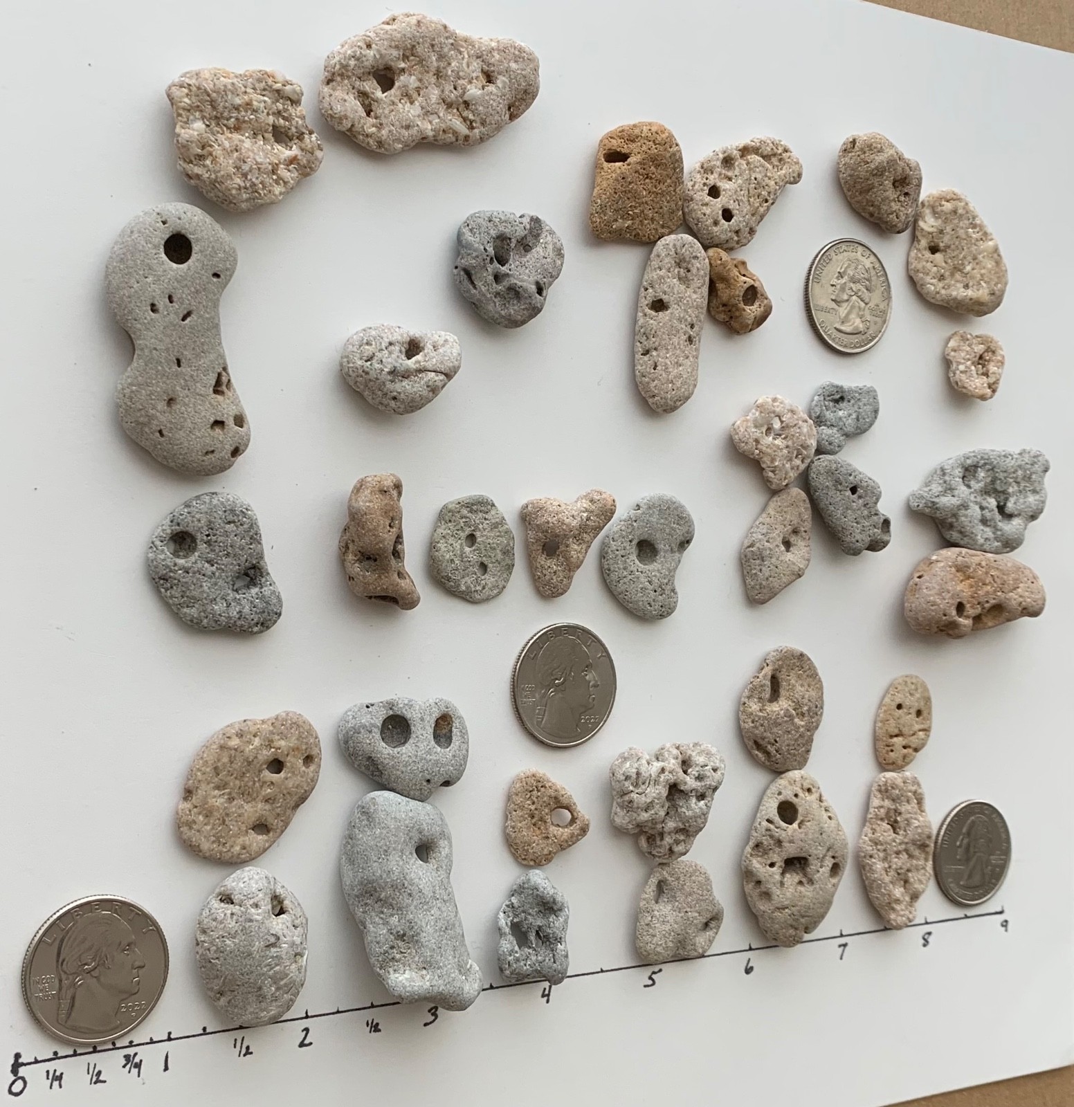 35 Adder Holey Beach Rocks Hag Stones Fairy Lucky Wish Magic Natural 1" #B1 US❤️