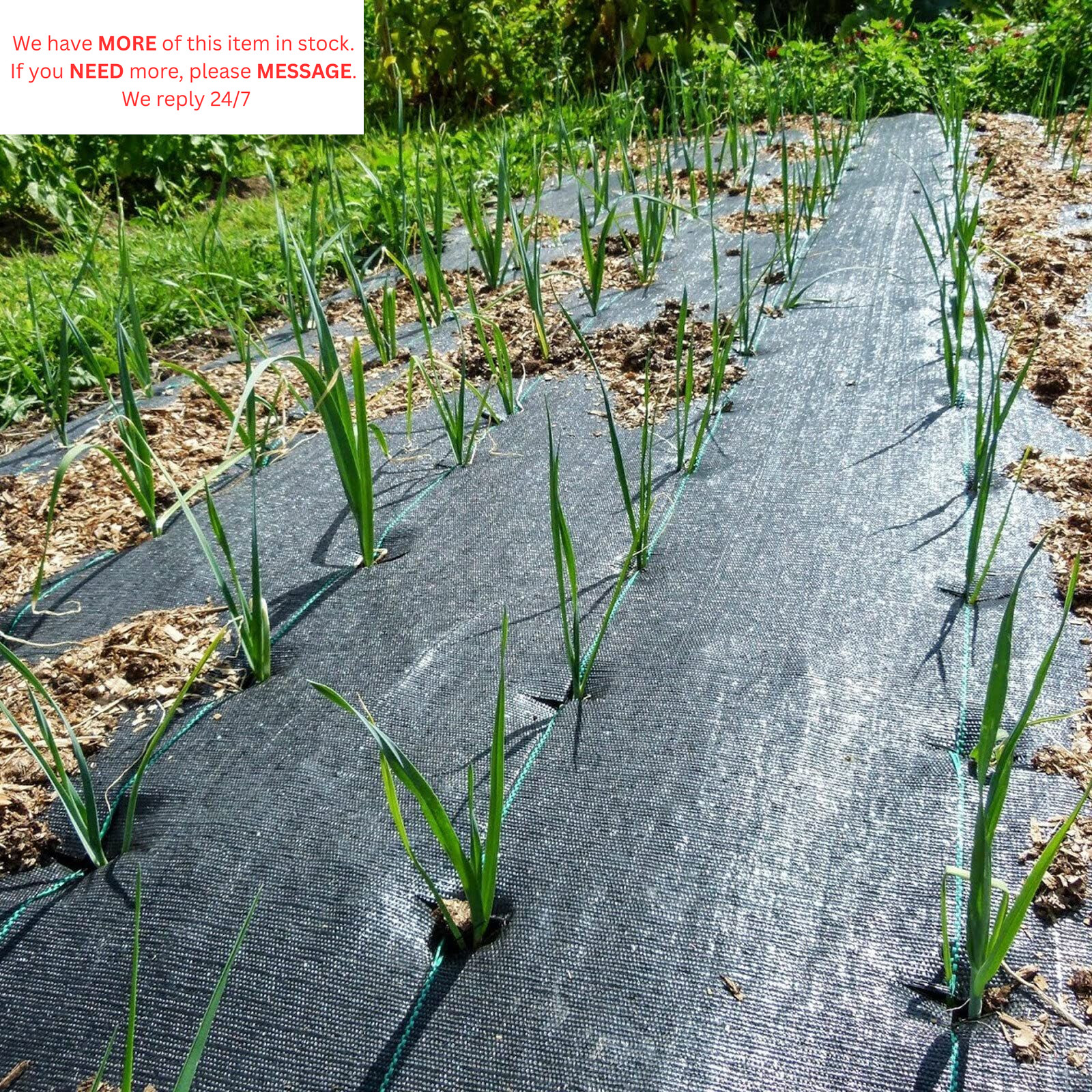 Groweco Landscape Fabric 6ft X 50ft Weed Barrier 6X50 FT, Black