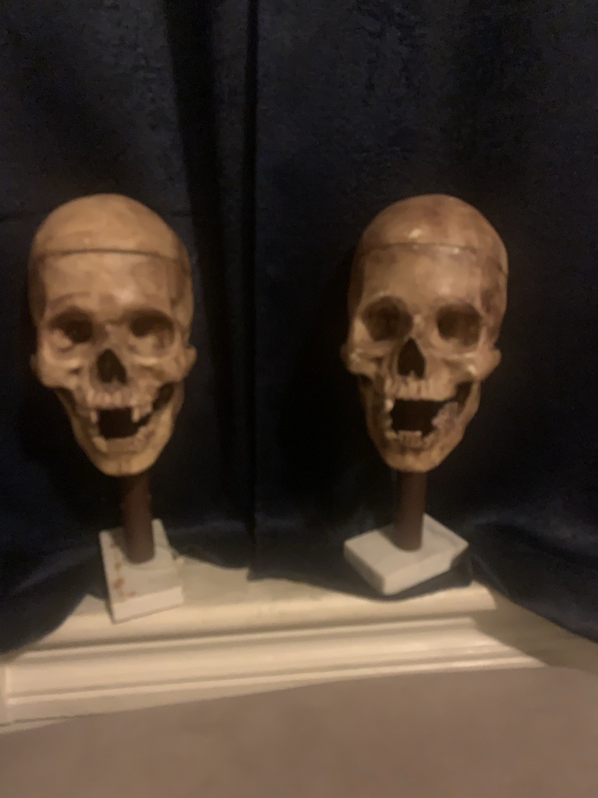 Vintage Realistic Human Skulls