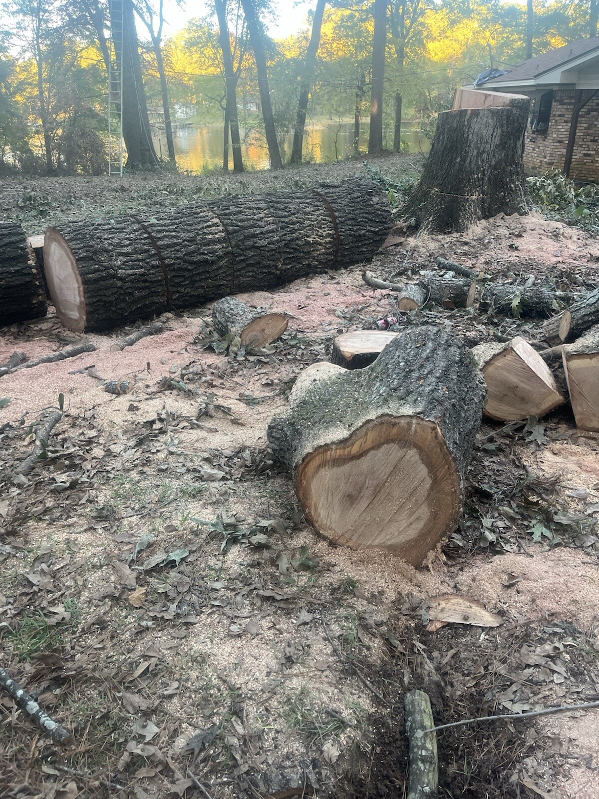 Red Oak, White Oak, And Hickory Firewood $150 Half Cord $300 Full Cord