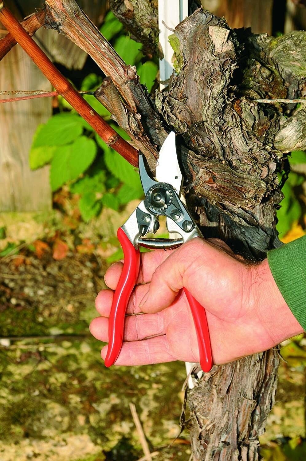 Felco 6 Pruner Swiss Made Pruning Shear Red Shears New F6