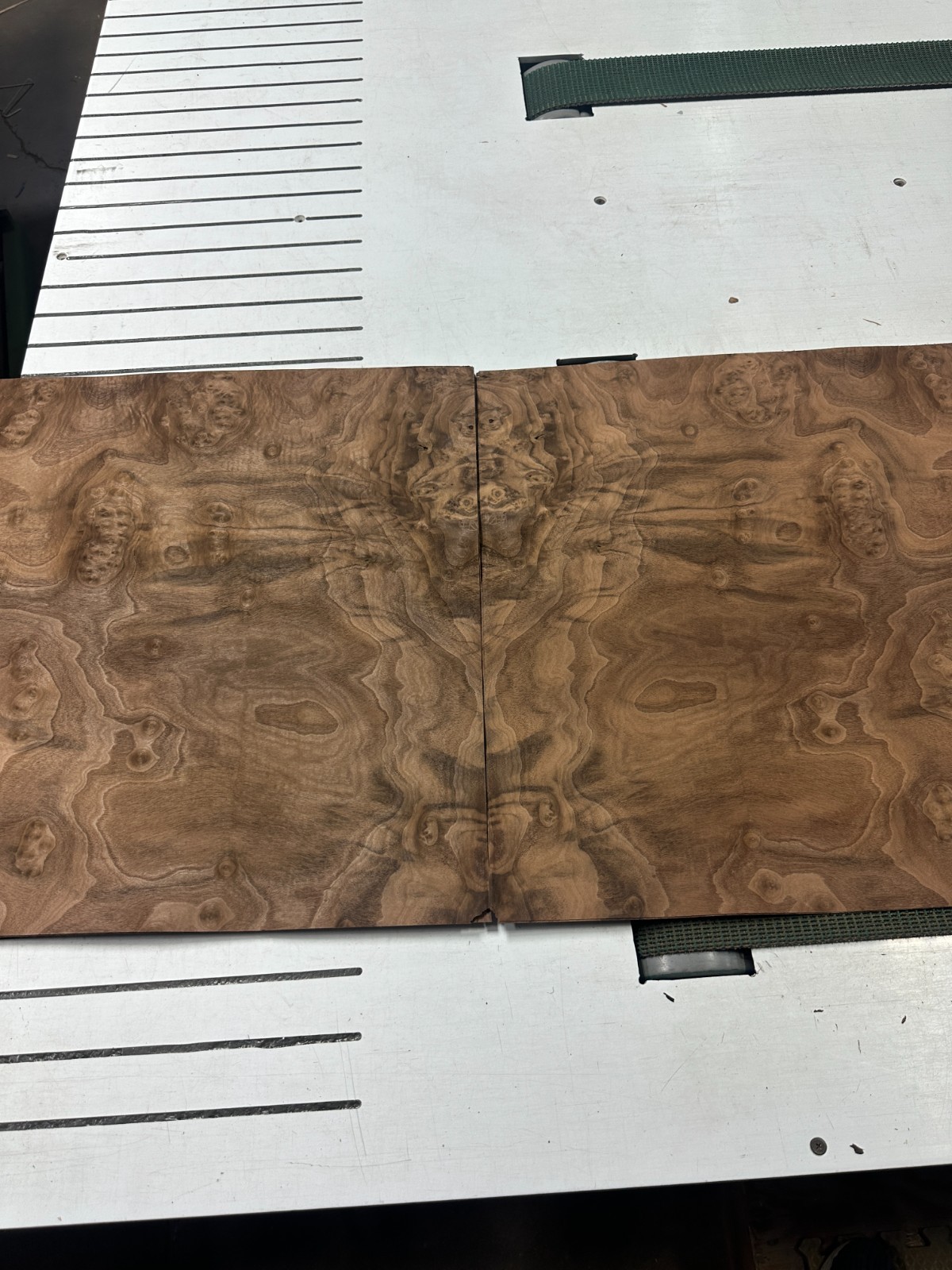 Walnut Burl Raw Wood Veneer 2 sheets 25'' x 23'' 916R