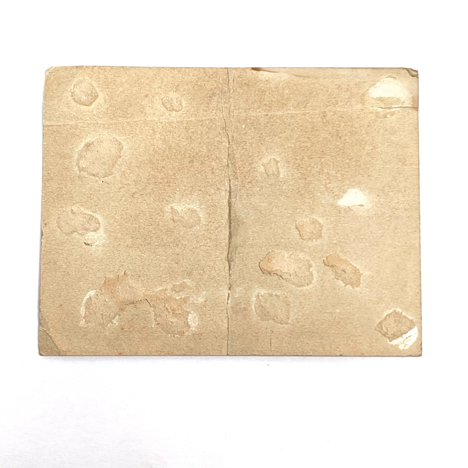 1929 Belvedere Presbyterian School, California Pre School Graduation Certificate