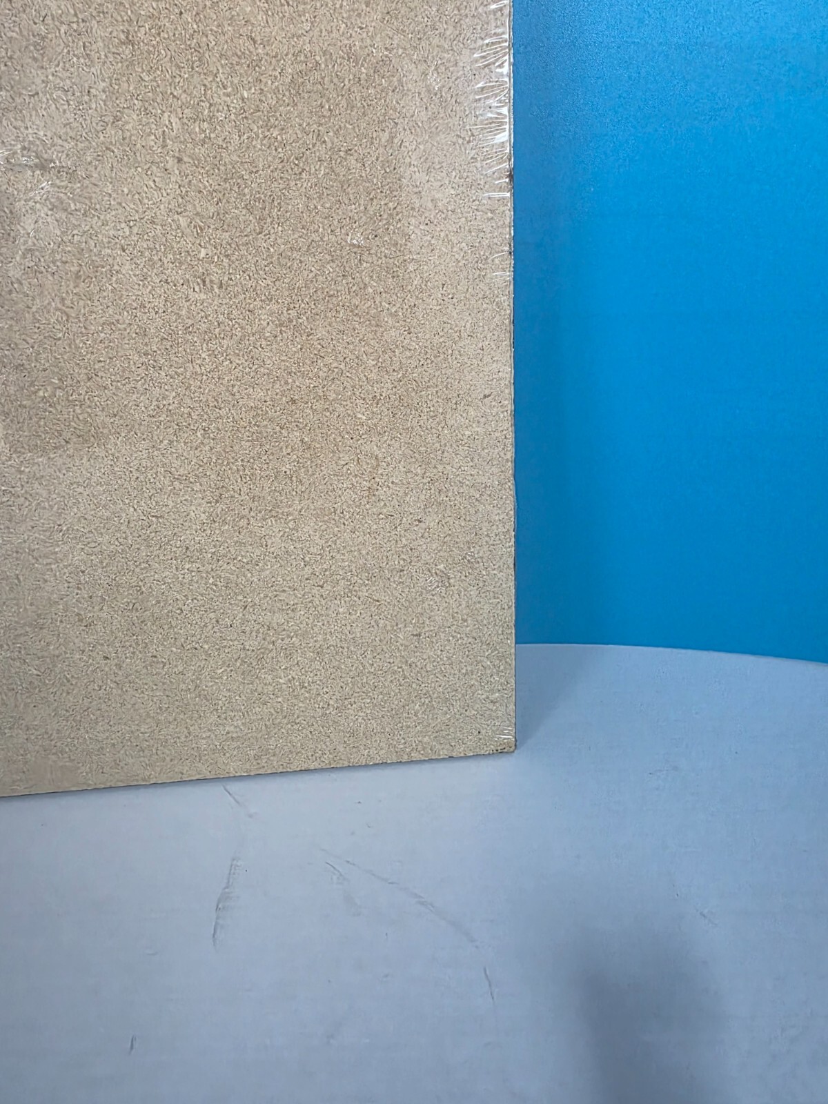 Harley Davidson XLH Sportster 883 Hugger Dealer Appreciation Wall Plaque