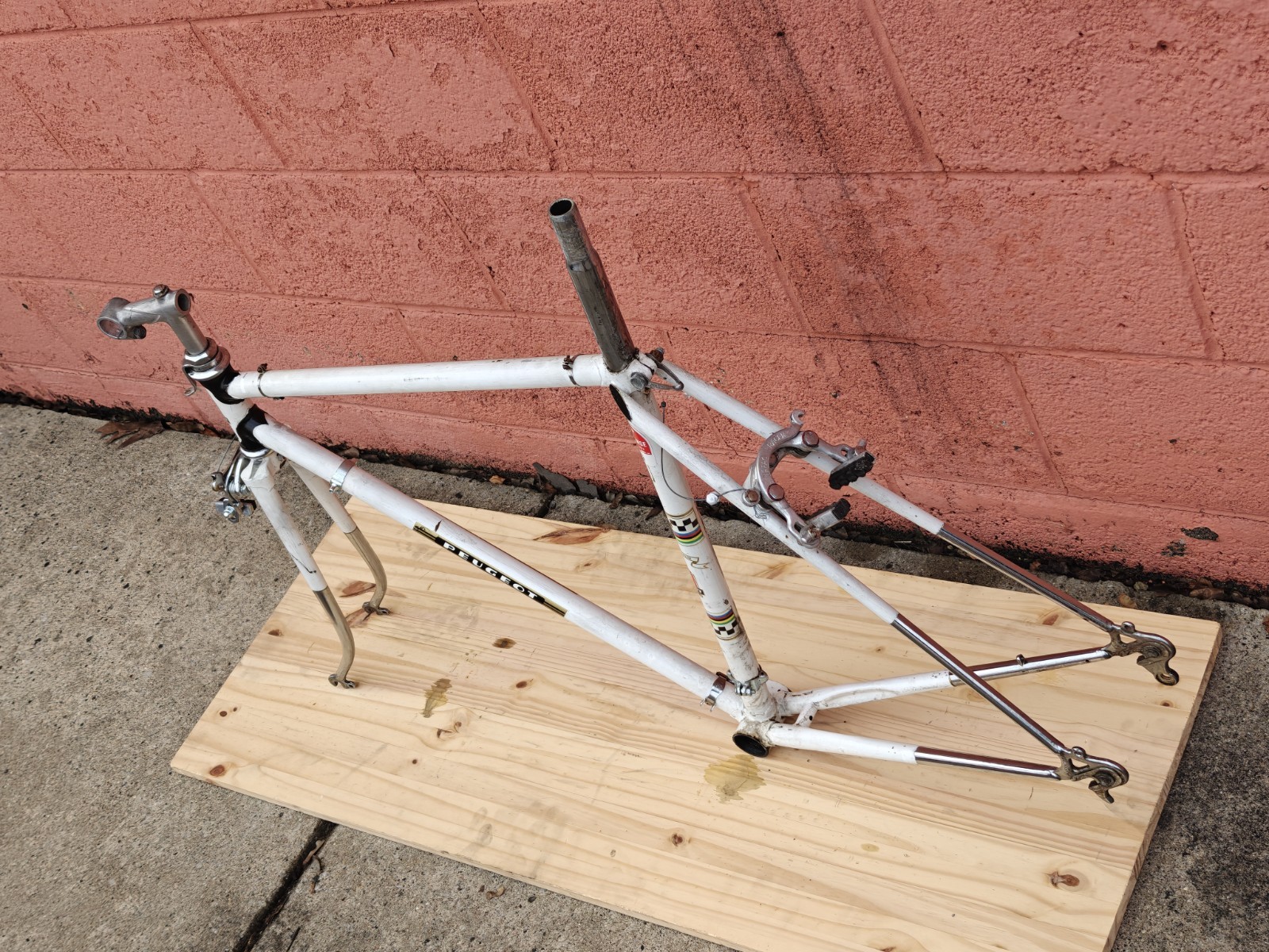 Peugeot PX-10 Vintage Bicycle Frame / Partial Bicycle 54/55cm