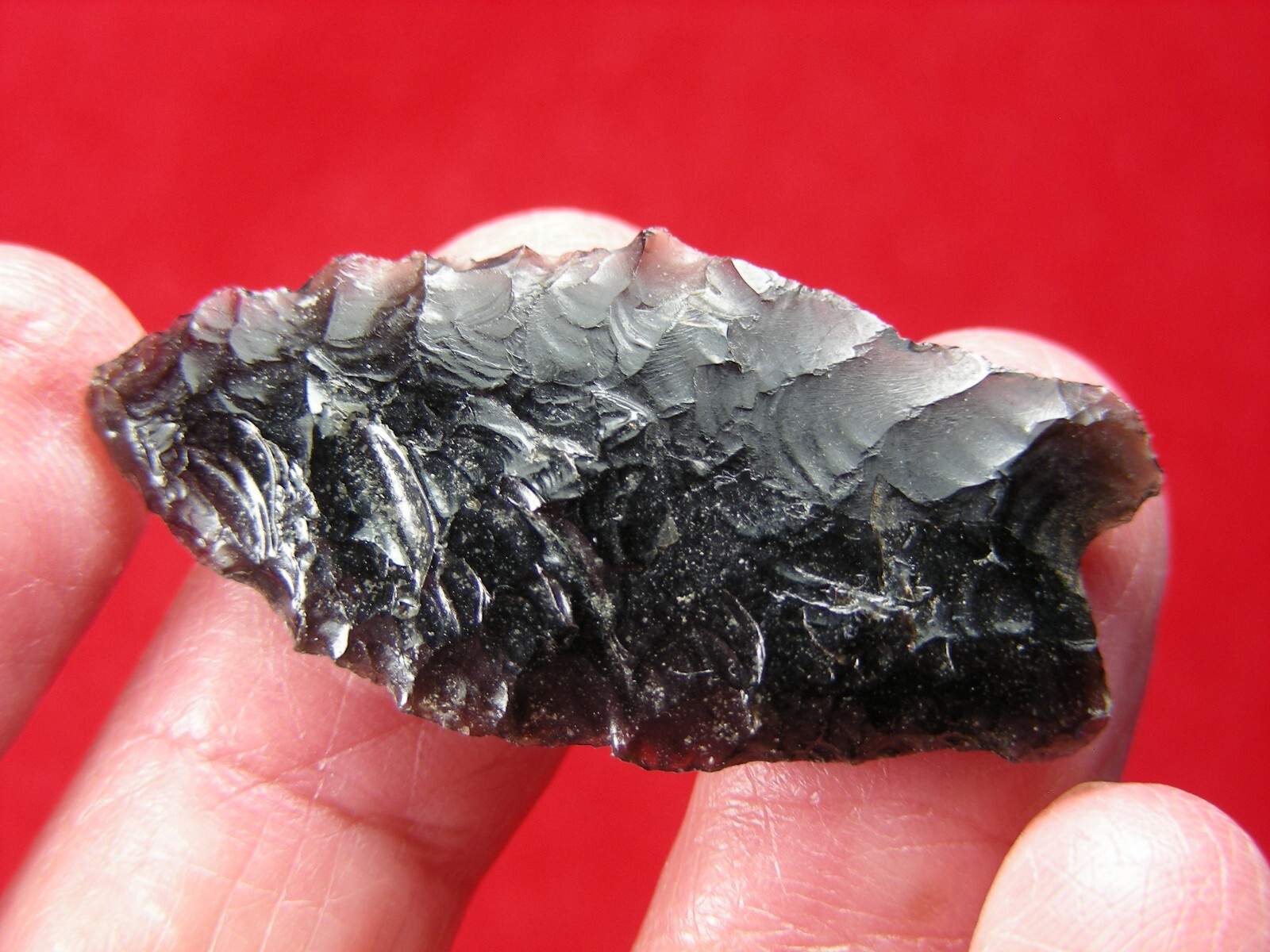 HUMBOLDT 1-1/2" CALIFORNIA Authentic Indian Relics