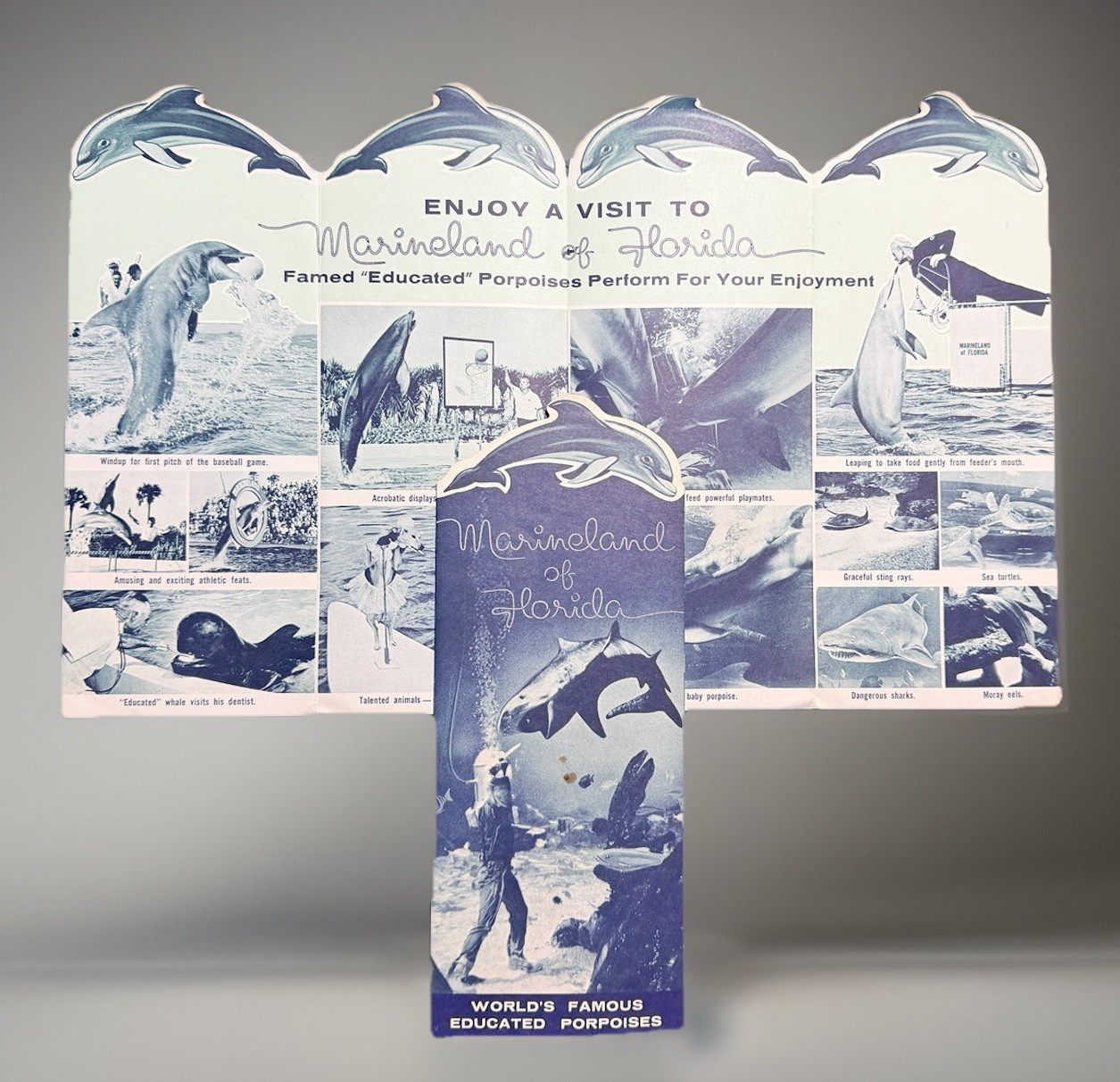 1950s Florida Travel Brochure Lot Maps Weeki Wachee Silver Springs Vtg