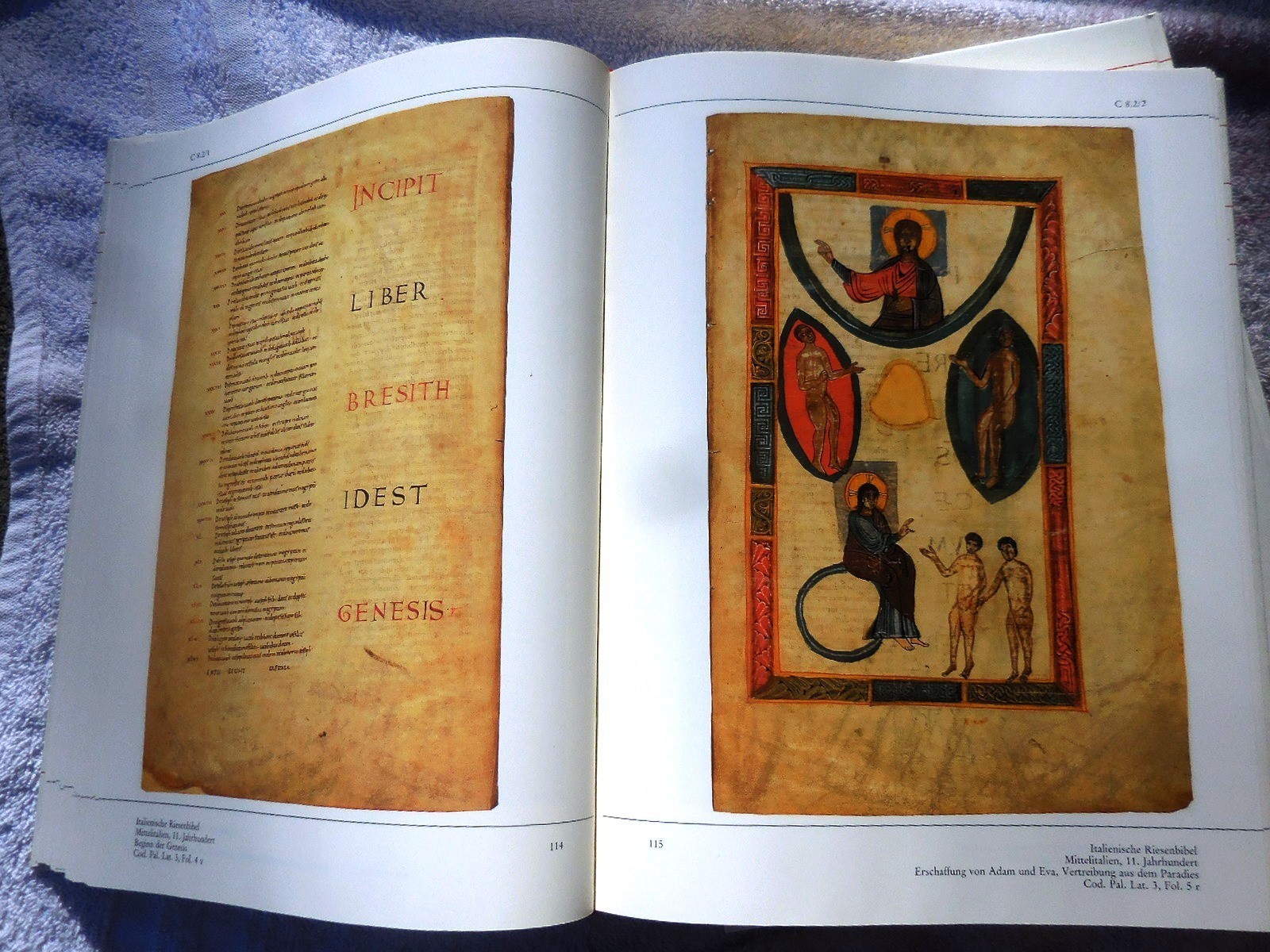 Illuminated Medieval Manuscripts BIBLIOTHECA PALATINA EXHIBITION-CATALOG 1985